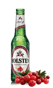 بيرة توت بري هولستن 330 مل . 